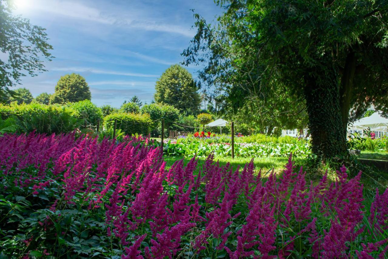 Vila Rozalia Garden Gate Avrig Eksteriør billede